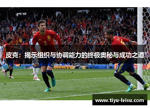 皮克：揭示组织与协调能力的终极奥秘与成功之道