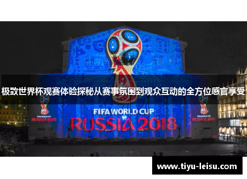 极致世界杯观赛体验探秘从赛事氛围到观众互动的全方位感官享受