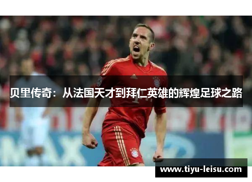贝里传奇：从法国天才到拜仁英雄的辉煌足球之路