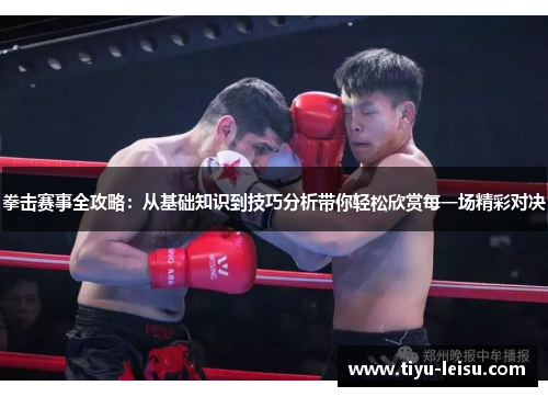 拳击赛事全攻略：从基础知识到技巧分析带你轻松欣赏每一场精彩对决
