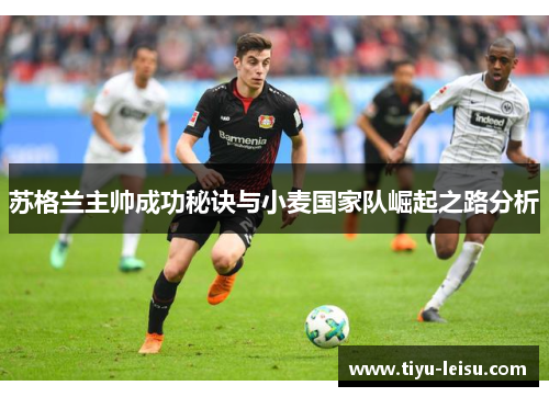 苏格兰主帅成功秘诀与小麦国家队崛起之路分析