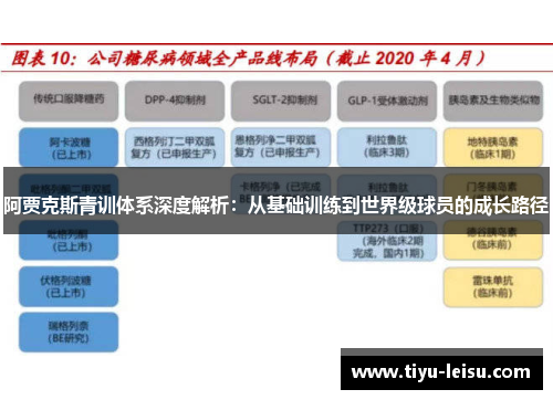 阿贾克斯青训体系深度解析：从基础训练到世界级球员的成长路径
